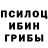 Галлюциногенные грибы MAGIC MUSHROOMS bryant lewis