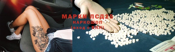 винт Бородино
