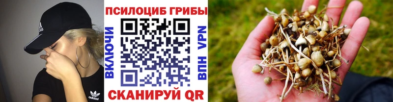 Купить где  Весьегонск  Галлюциногенные грибы Cubensis 